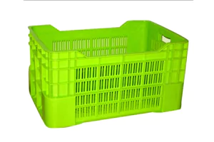 Food Storage & Organization