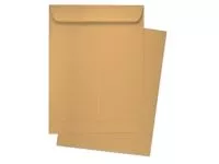Brown Envelopes
